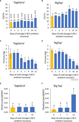 Comparative transcriptomic profiling of peach and nectarine cultivars reveals cultivar-specific responses to chilled postharvest storage